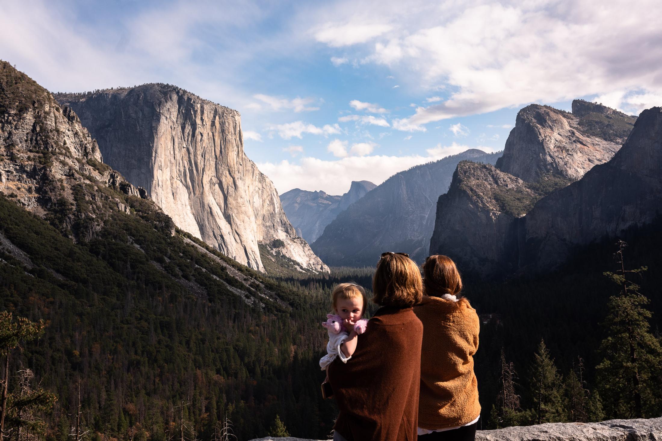  - Sequoias  - Three generations enjot the stunning lookout as you enter...