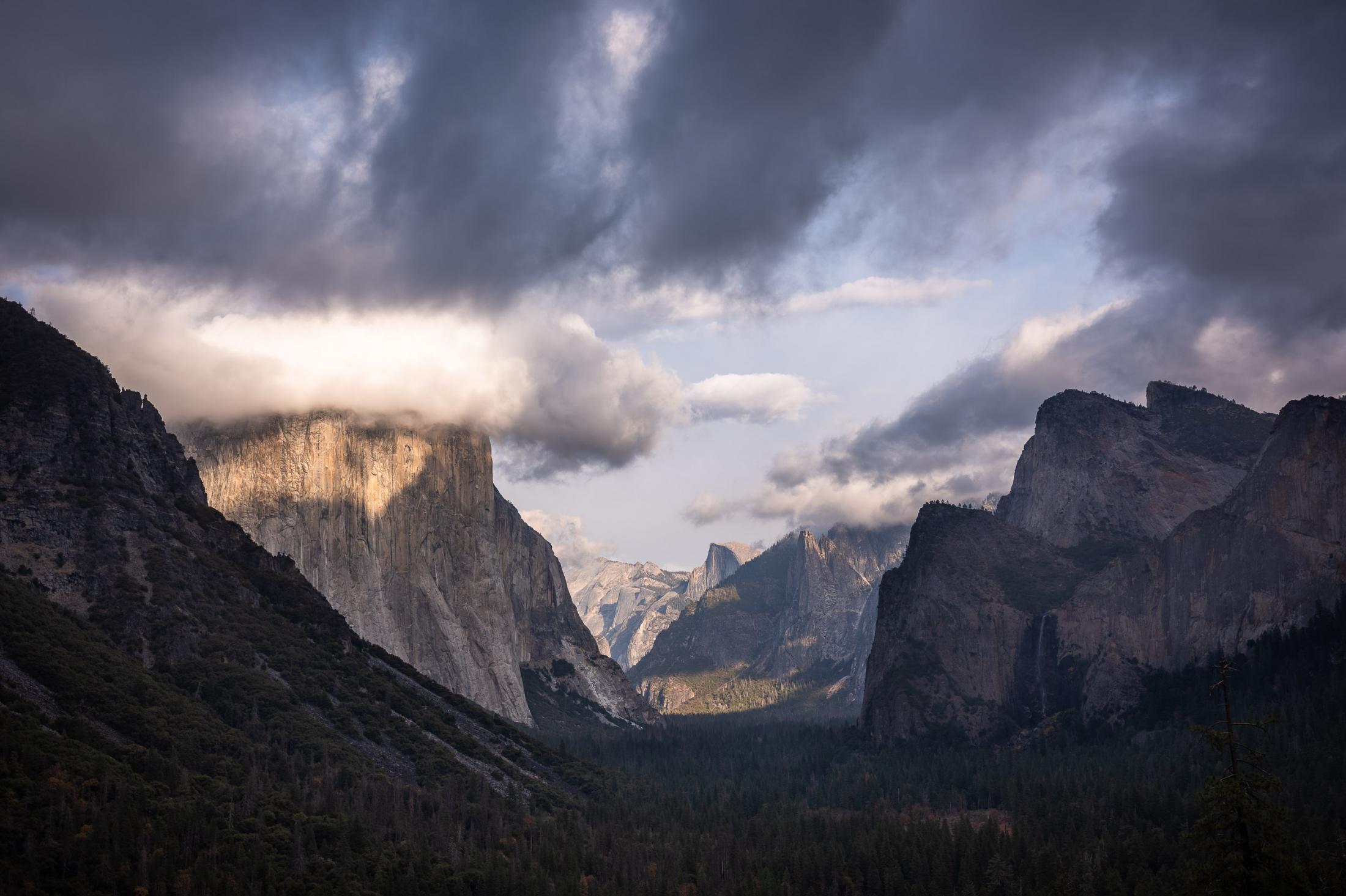  - Sequoias  - View over the Yosemite Valley as one of the first winter...