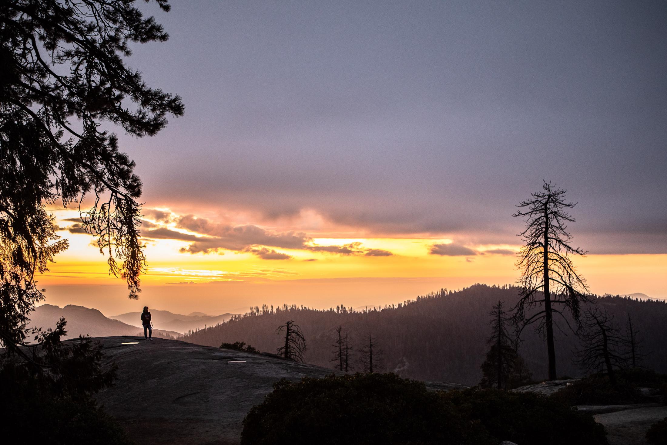 - Sequoias  -  A tourist enjoys the sunset with views over Sequoia...