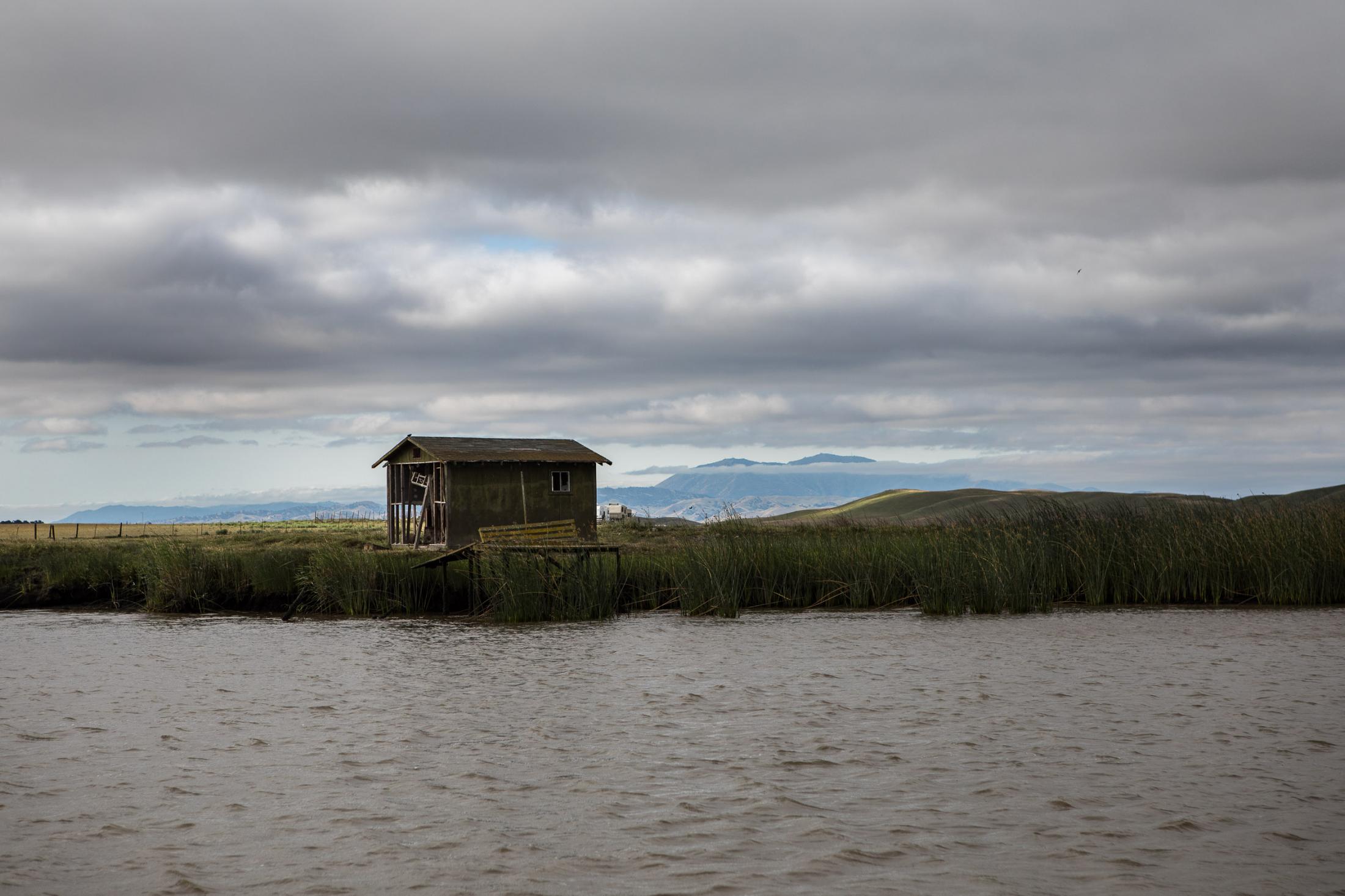  - The Delta  - Suisun marsh, one of the largest brackish water marsh on...
