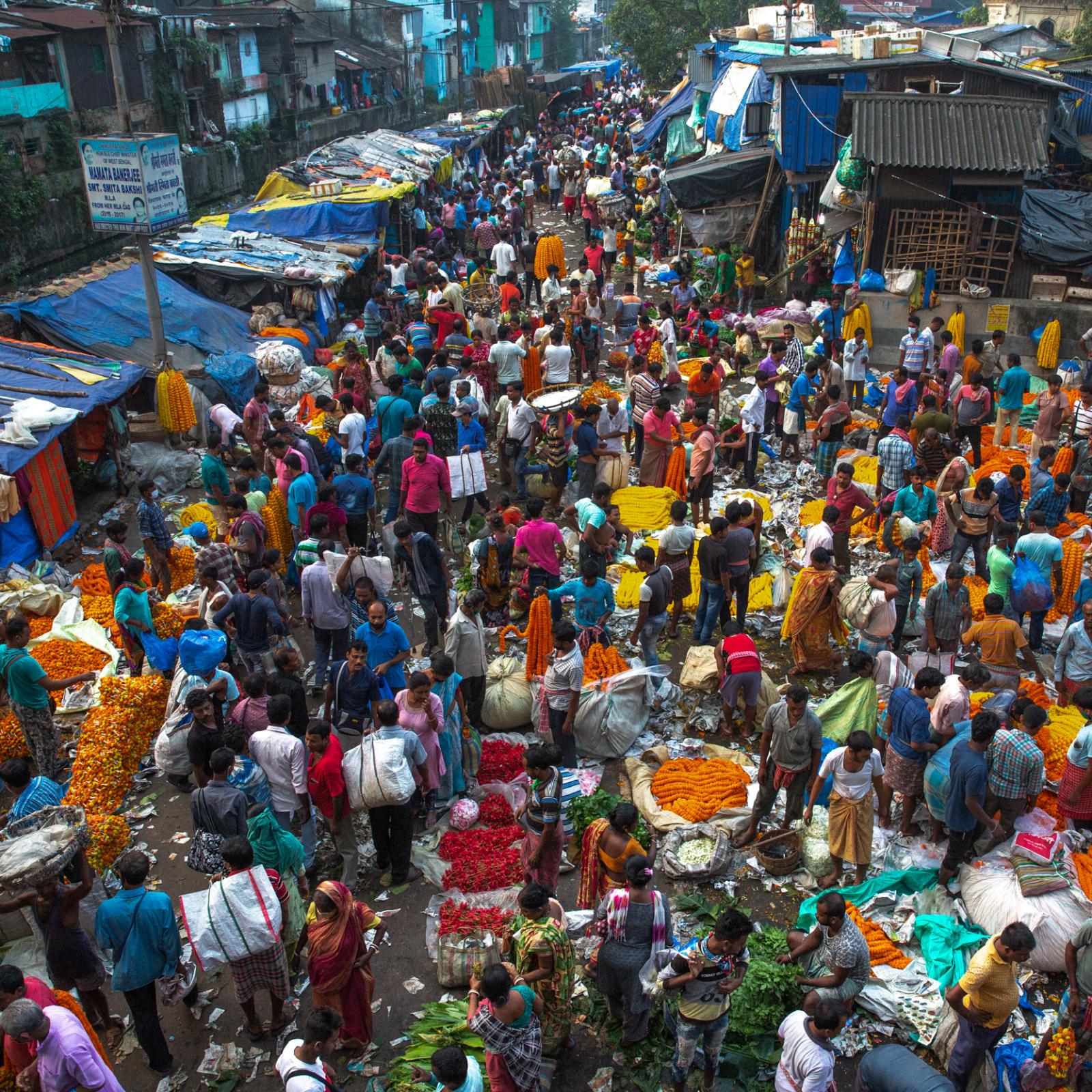 Plastic's Threat to Life Along the Ganges River - Kolkata’s Mullick Ghat flower market is jammed...