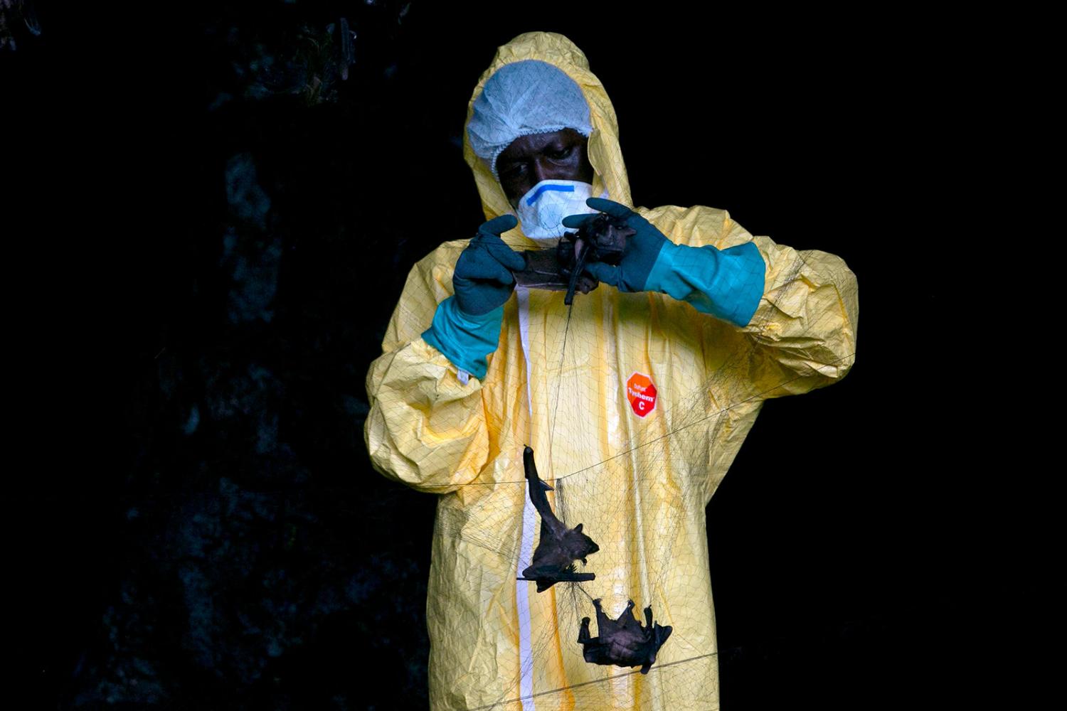 Image from NPR -    Next Pandemic: Scientists Fear Another Coronavirus...