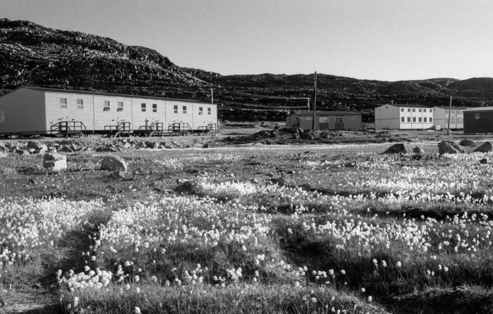 Baffin Island