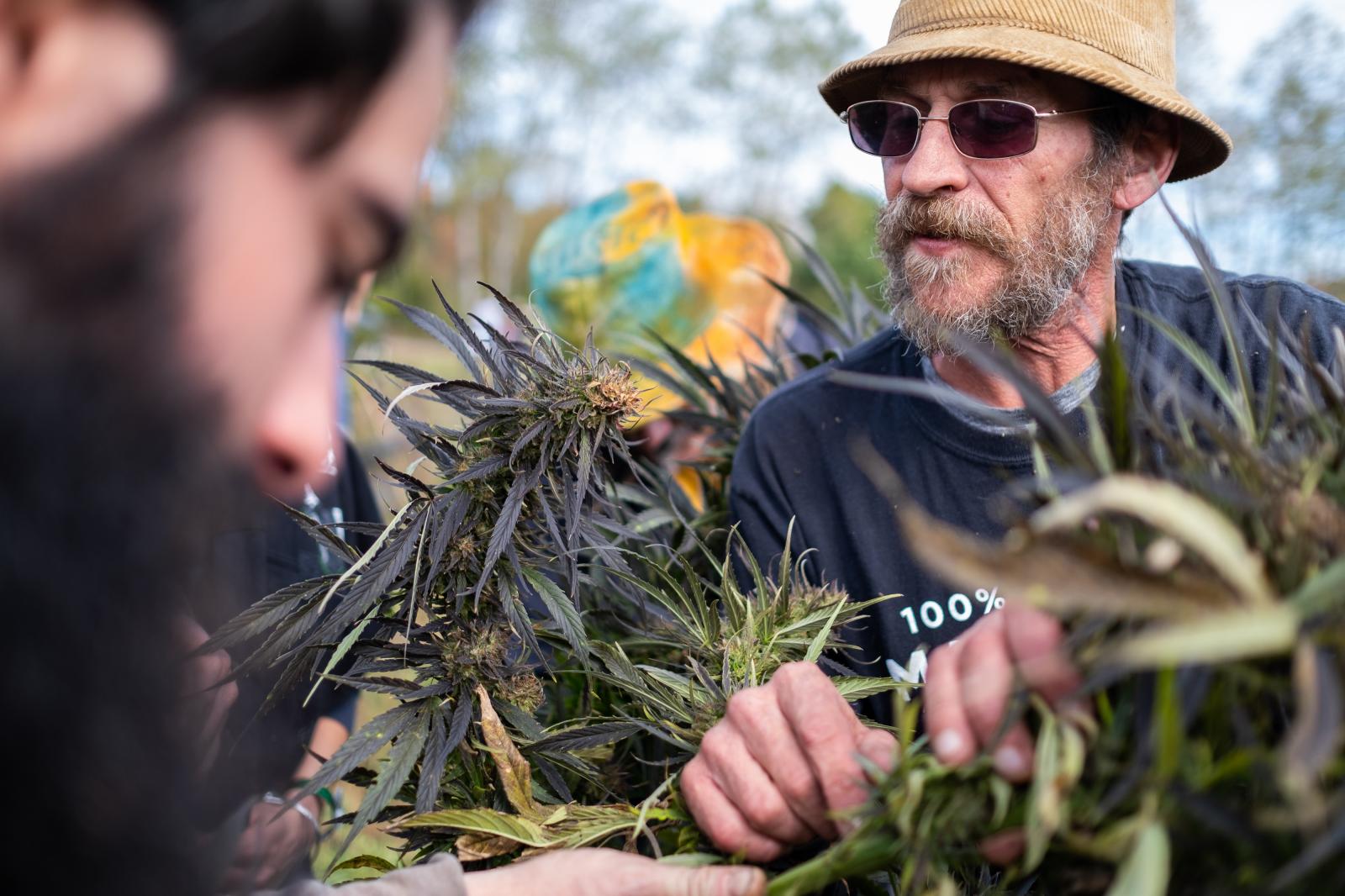 Image from CNY Hemp Festival - George Knarich discusses the plants with Zach Howard, a...