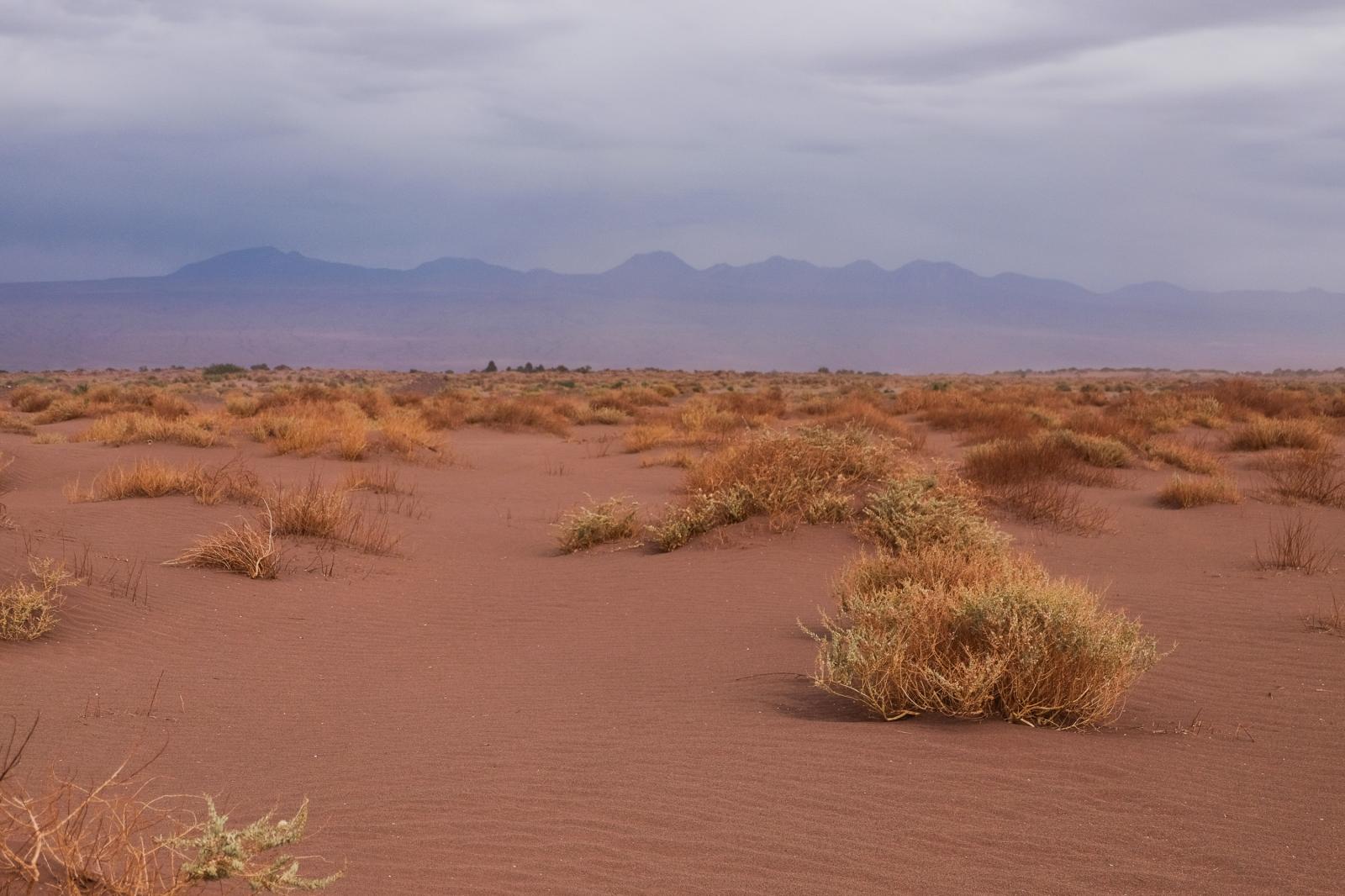 Atacama flat | Buy this image