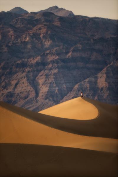 Timbisha Dunes | Buy this image