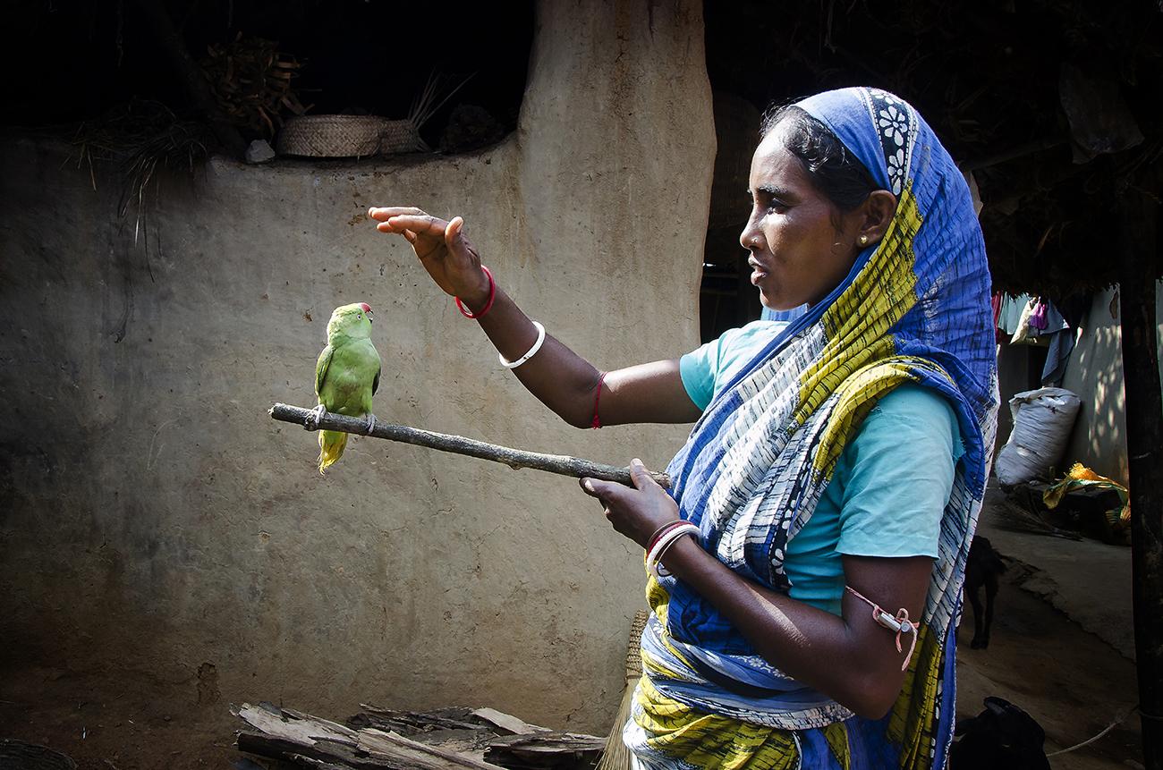 Portraits - A lady was playing with her pet, the parrot, in Purulia,...