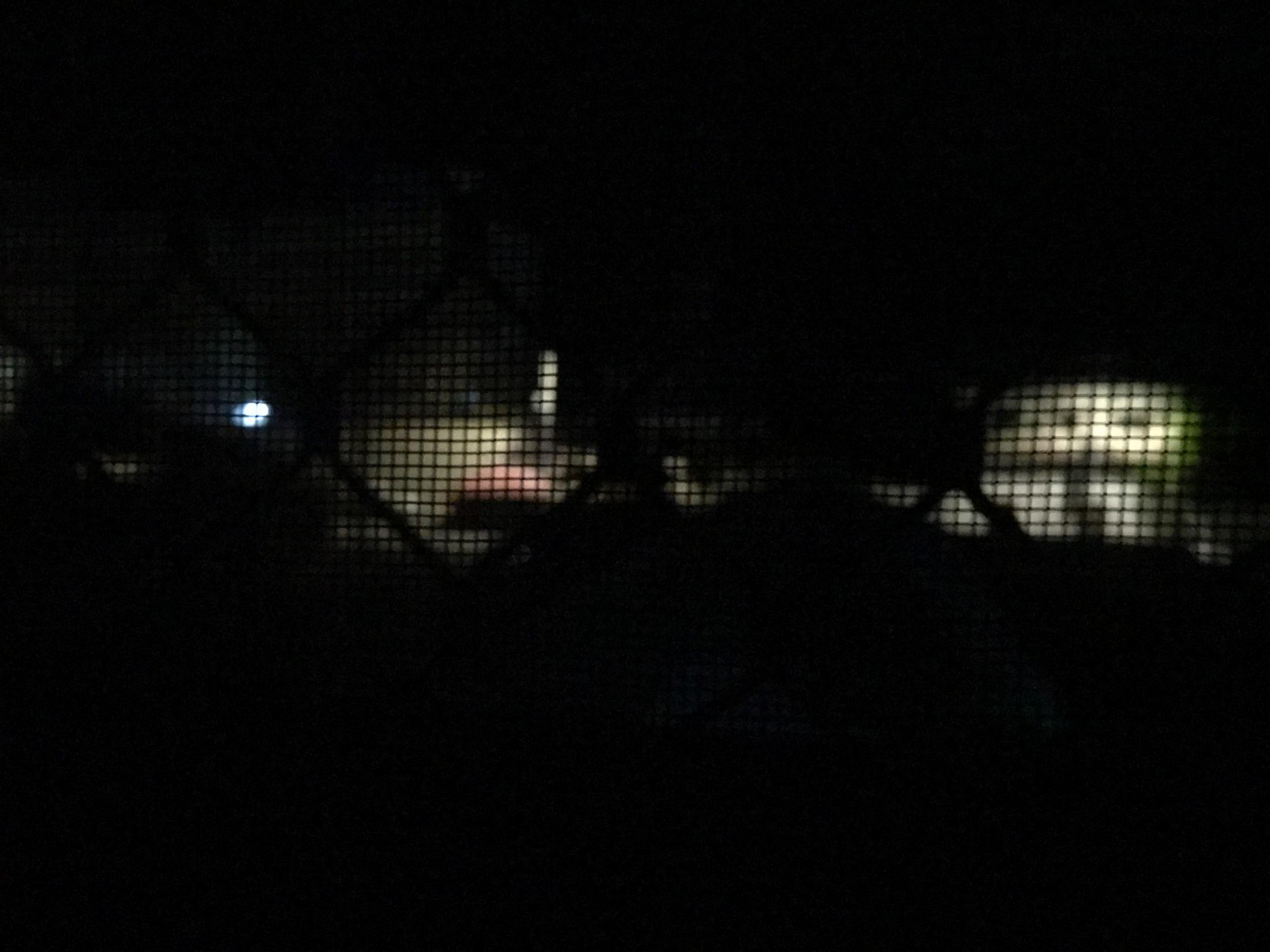 Ramadhan in quarantine - I took this photo at 8 p.m. at night after three mortars...
