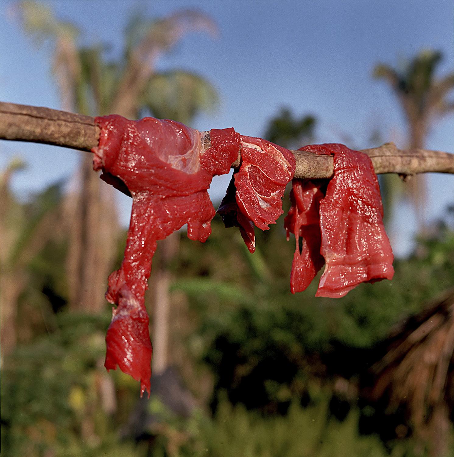Terra do Meio - Meat hanging in the sun do dry at a small property on the...