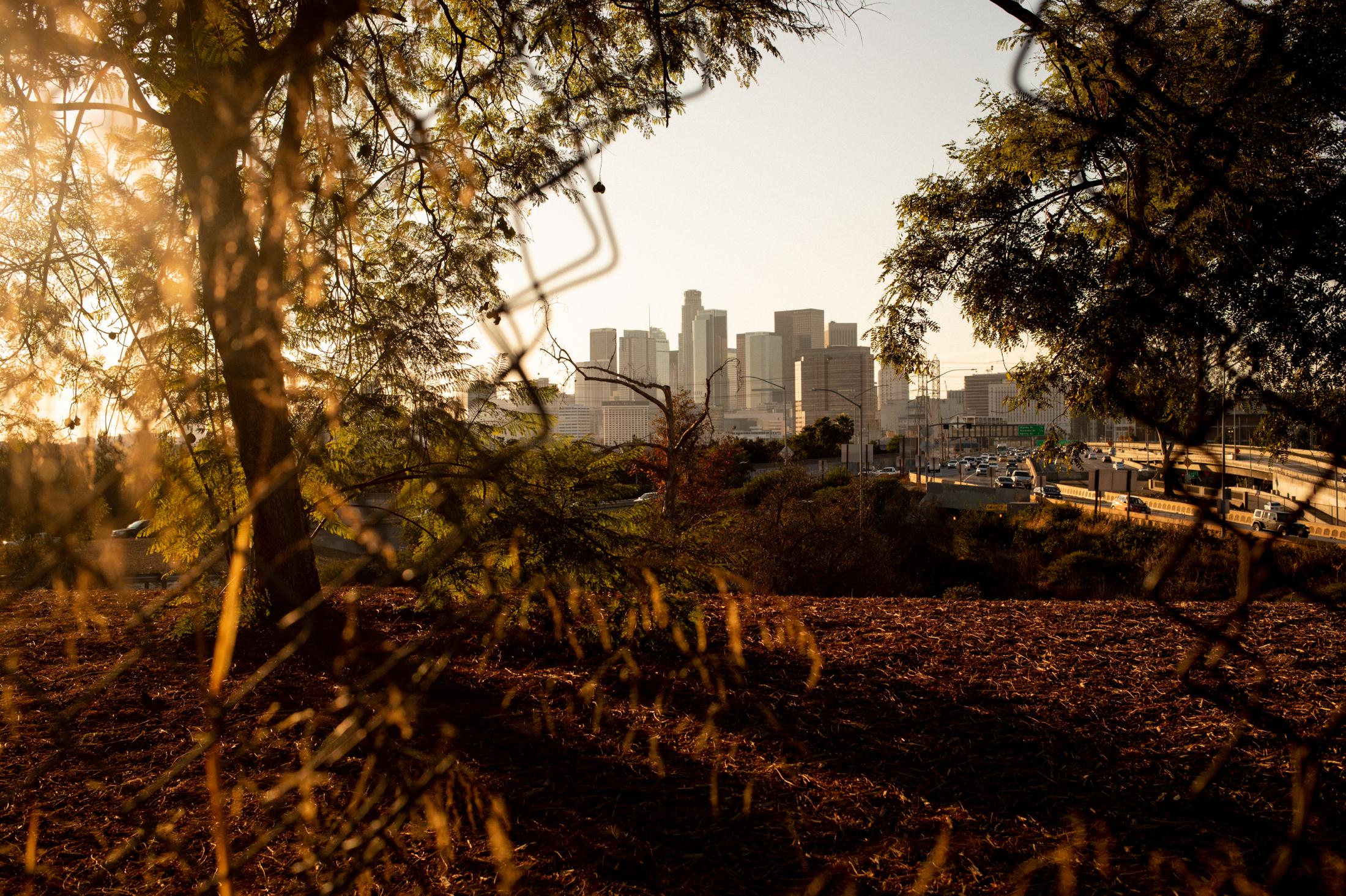 Homeless Youth in Los Angeles, Internazionale - The Los Angeles skyline seen from outside Jovenes, an...