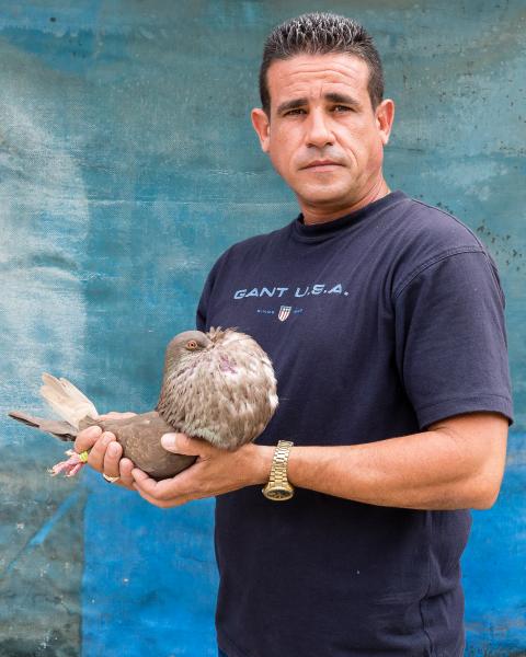 LA ISLA - CUBAN DIARIES - Alejandro Fernandez, 41 years old, with one of his pouter...