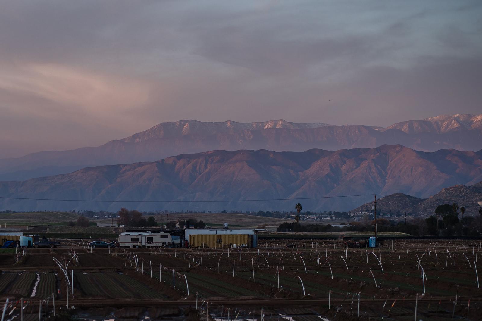 A view of a farm with Mount San Gorgonio in the background in Hemet, California on February 8, 2021.