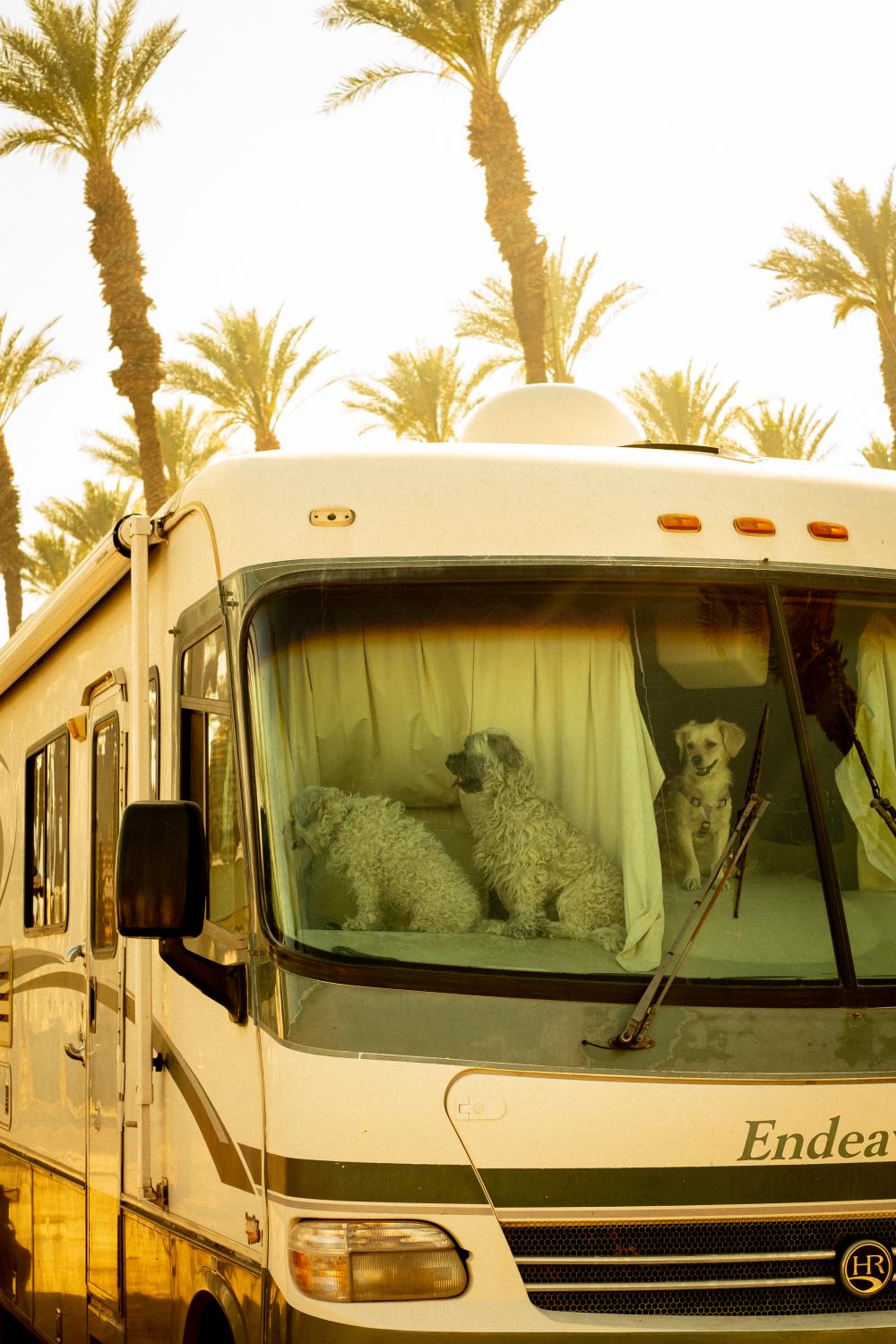 A Warm Winter (Ongoing)  - RV resort in Palm Desert, California