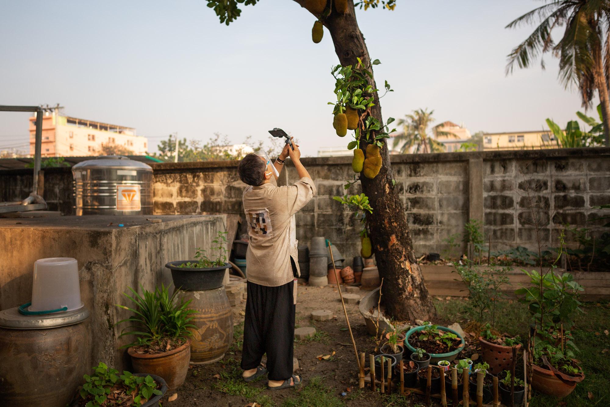 Step Into My (Home) Office: Rest Of World - Hnoi Latthitham, 53, shows participants a jackfruit tree...