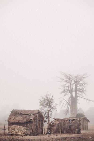 Morning fog | Buy this image