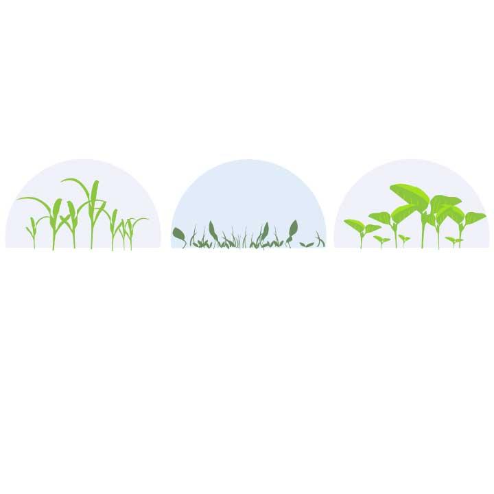 seedandsoil website - 