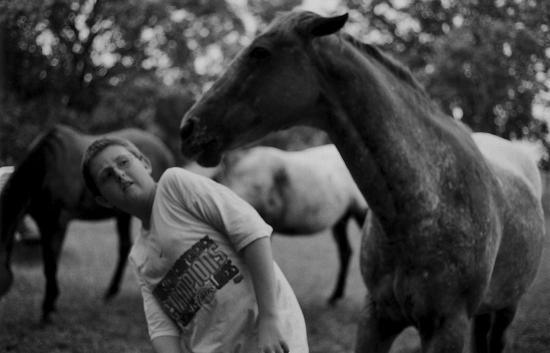 Art and Documentary Photography - Loading 26_at age 12 Grumpy horse.2003.jpg