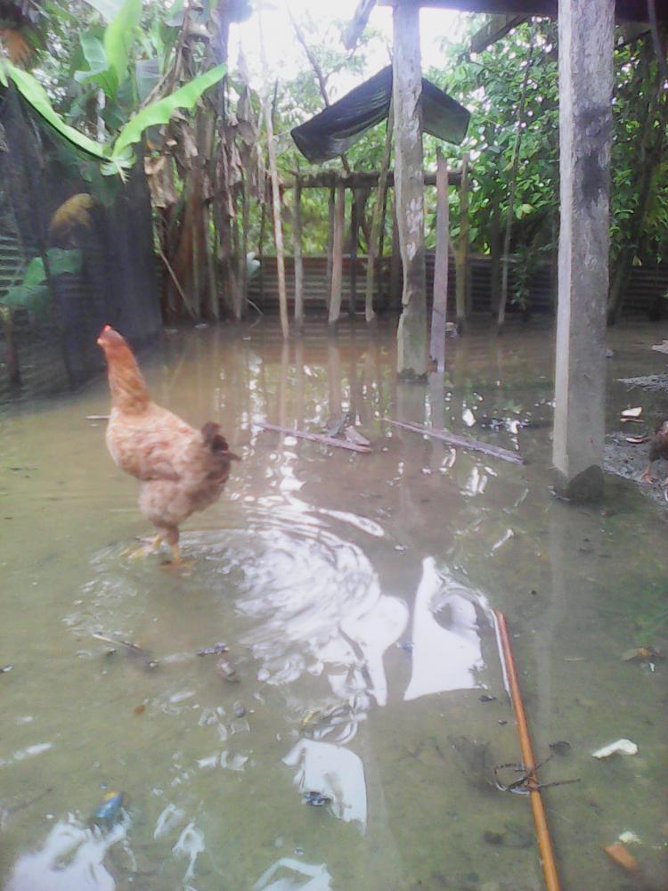 flooding in Jericho consaya