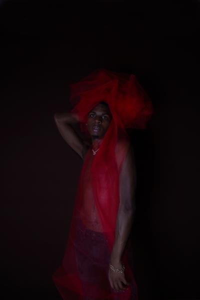 Image from Portraiture - Tulip ©2020 Anja Matthes
