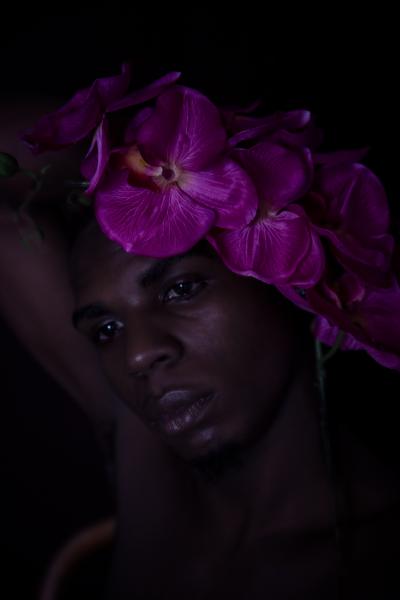 Image from Portraiture - Tulip ©2020 Anja Matthes