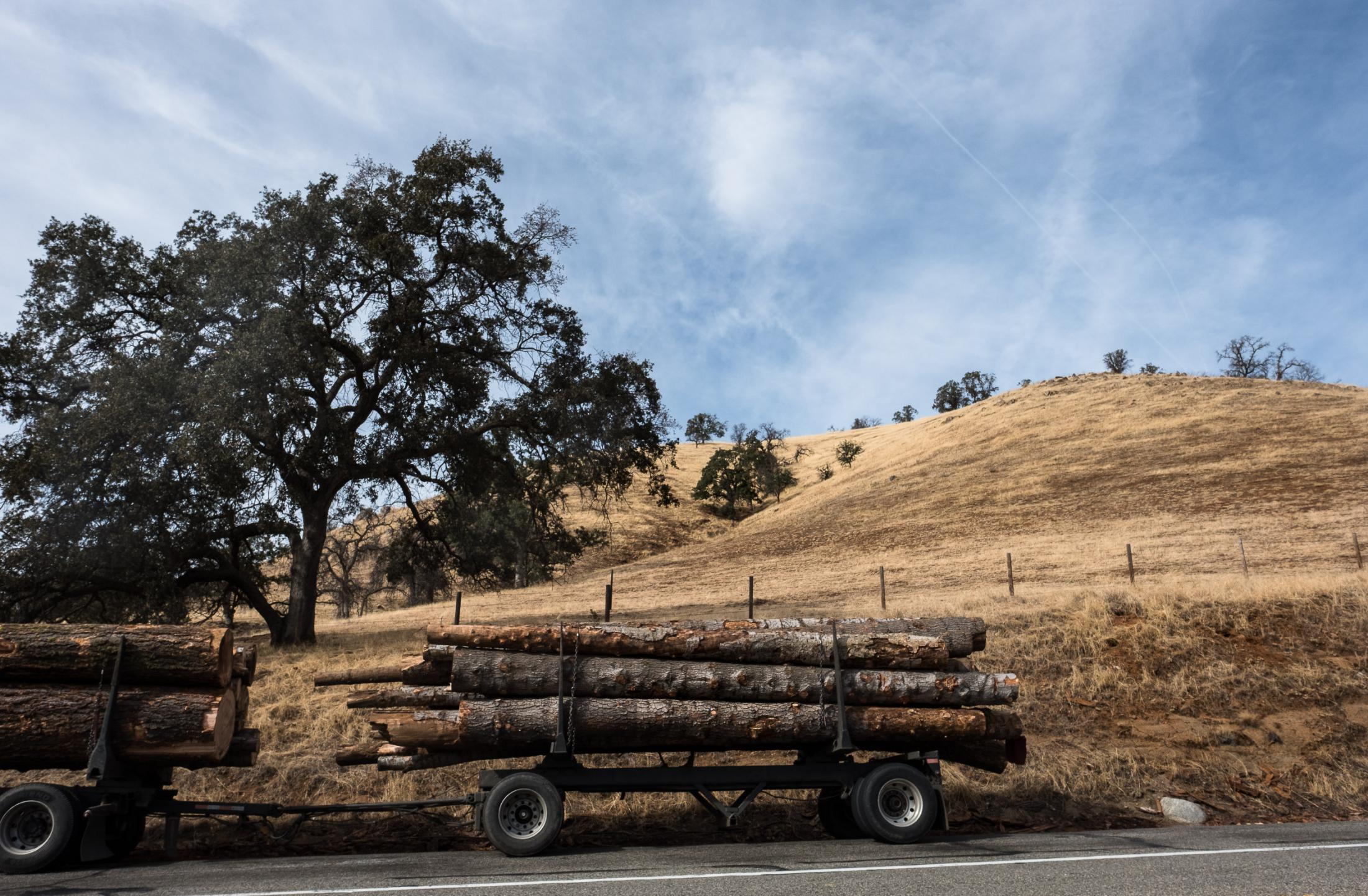  - Prescribed burns  - Logged trees loaded up to be sent to the only mill left...