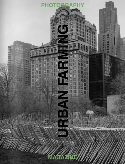 Urban Farming New York City
