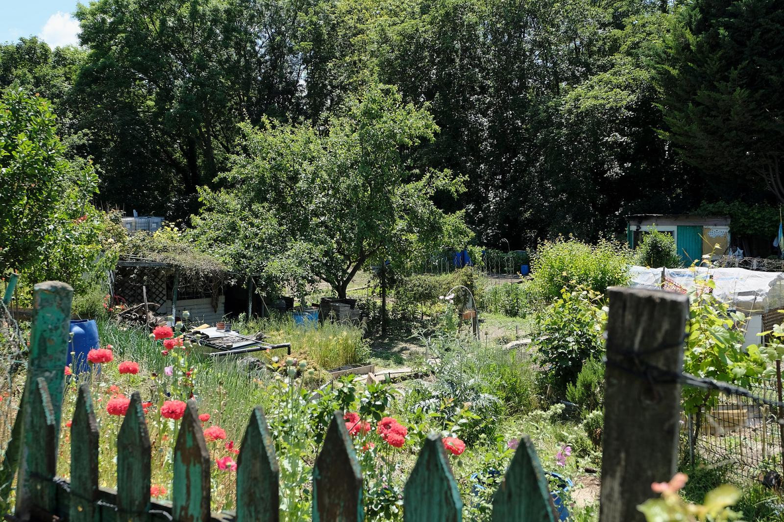 The allotments of Aubervilliers date back nearly a century.