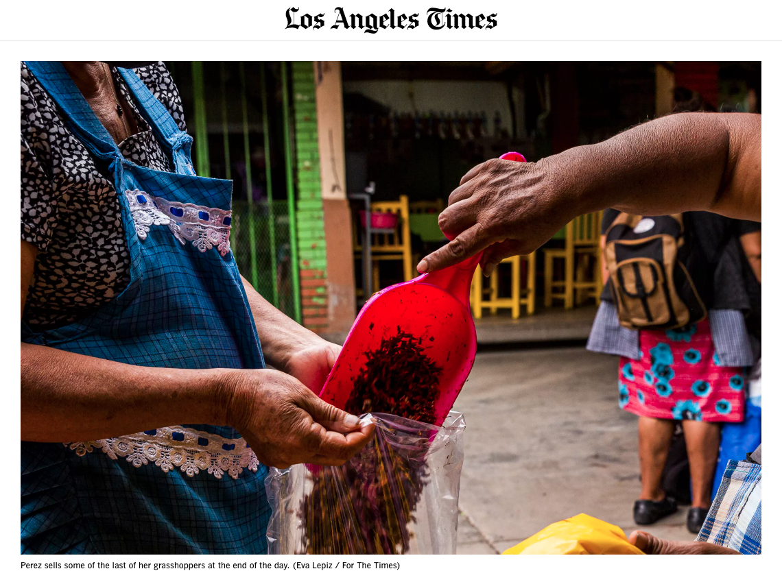 Publications - Are grasshoppers as delicious as ham? Mexico’s insect hunters would like you to find out. Los Angeles Times