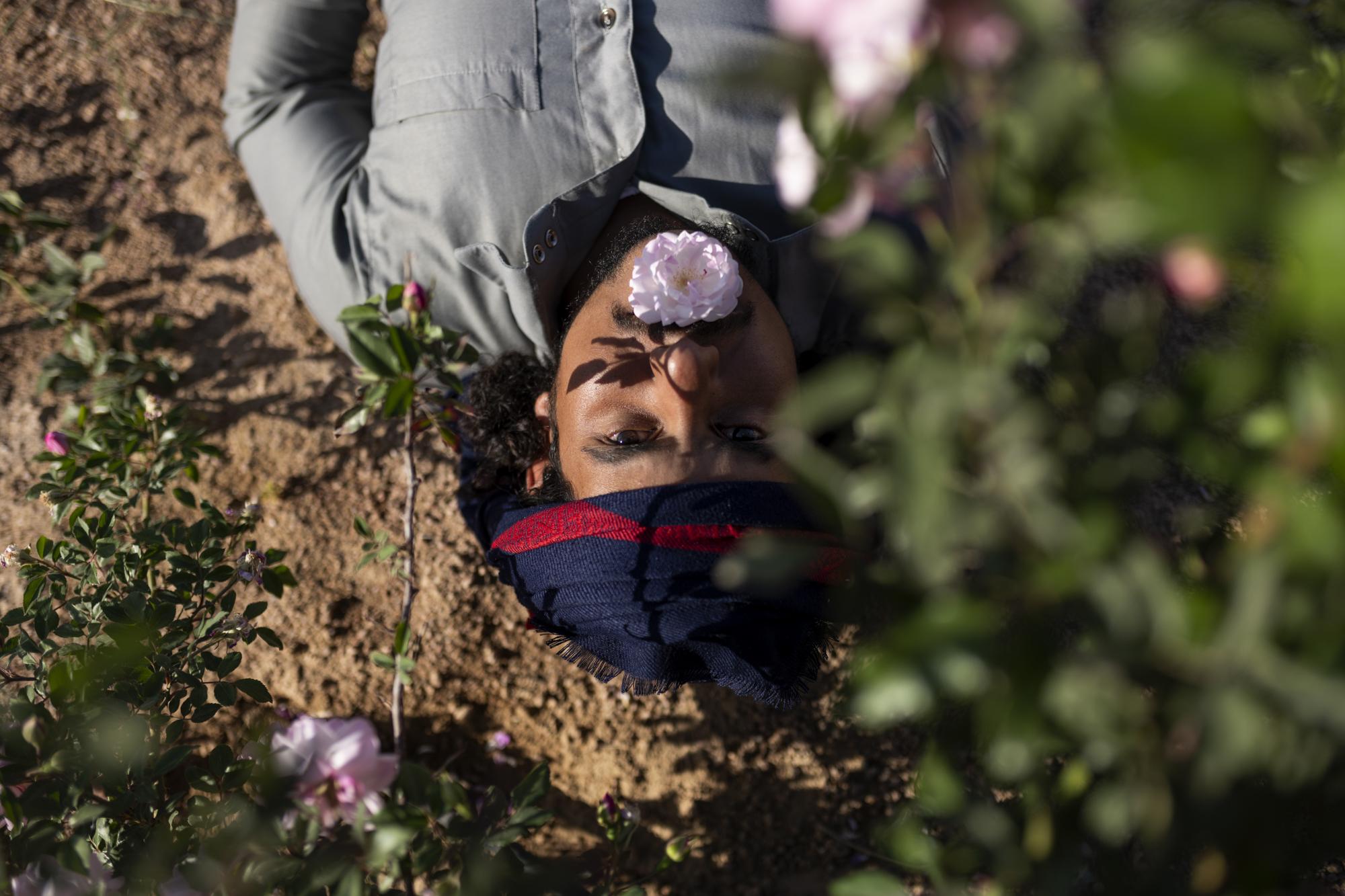 On National Geographic: In one of Egypt's most spiritual places, Bedouins find peace and resilience - Moussa Algebaly, a member of the Jebeliya tribe, lies under a flower plant after working on his...