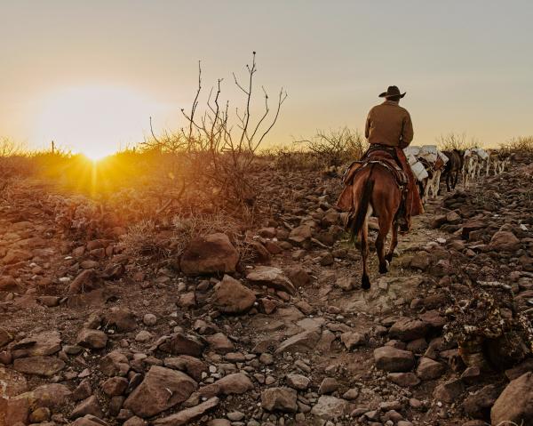 Mexico's cowboys struggle to maintain traditional lifestyle | Photographs by Balazs Gardi