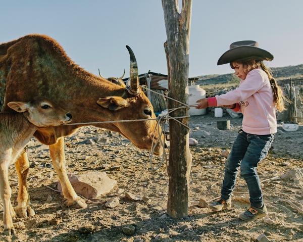 Mexico's cowboys struggle to maintain traditional lifestyle | Photographs by Balazs Gardi - Eleonary Arce Aguilar&#39;s daughter, Guadalupe, prepares to milk cows at Rancho Mesa San...