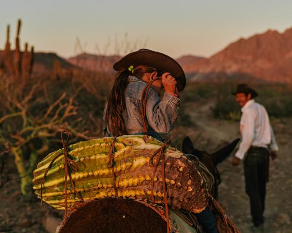 Mexico's cowboys struggle to maintain traditional lifestyle | Photographs by Balazs Gardi - Eleonary &ldquo;Nary&rdquo; Arce Aguilar and his daughter, Guadalupe, harvest a barrel...