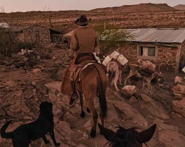 Mexico's cowboys struggle to maintain traditional lifestyle | Photographs by Balazs Gardi - Eleonary &quot;Nary&quot; Arce Aguilar drives his mules home to Rancho Mesa San Esteban...
