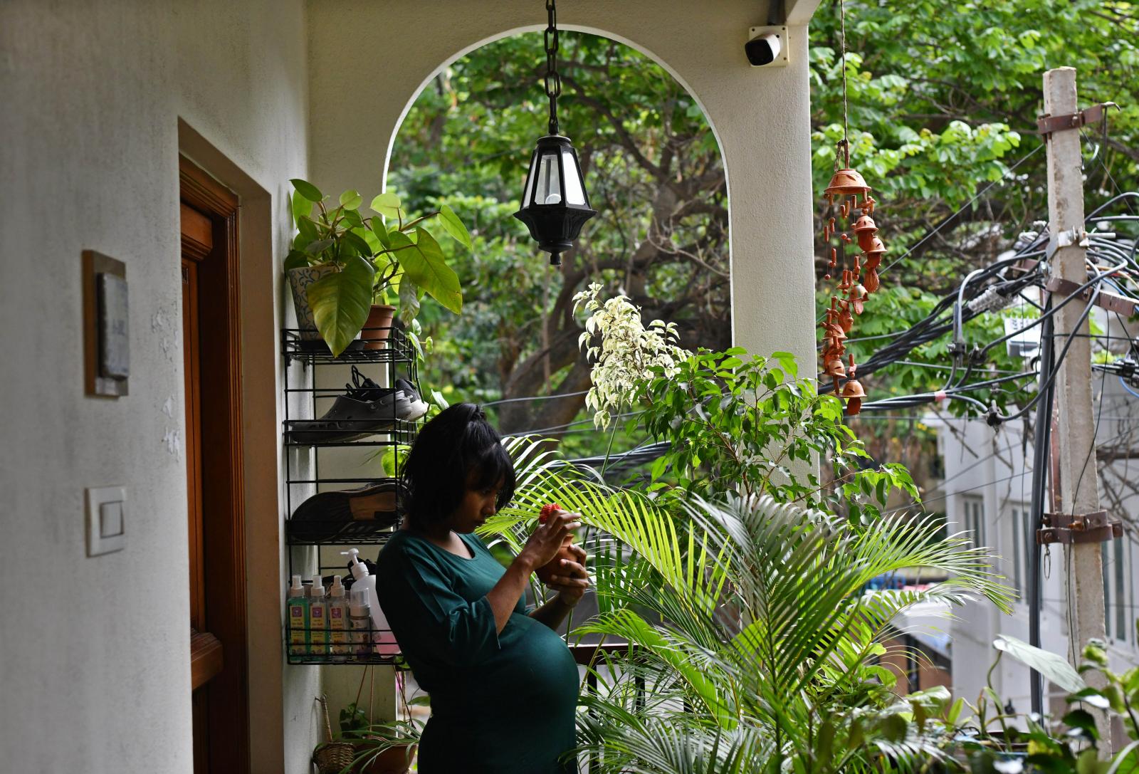 Varsha a veterinarian keeps her...elf busy reading and gardening.