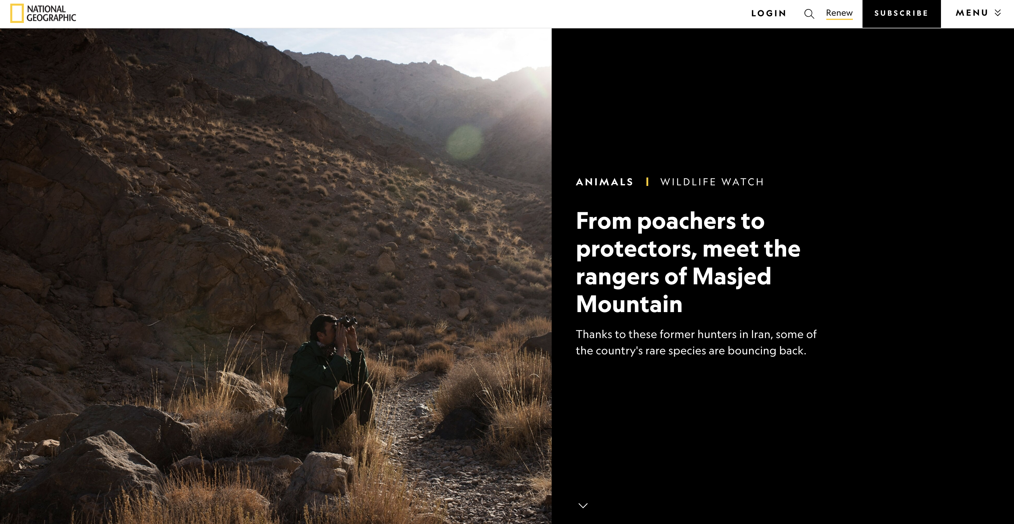 From Poachers To Protectors 