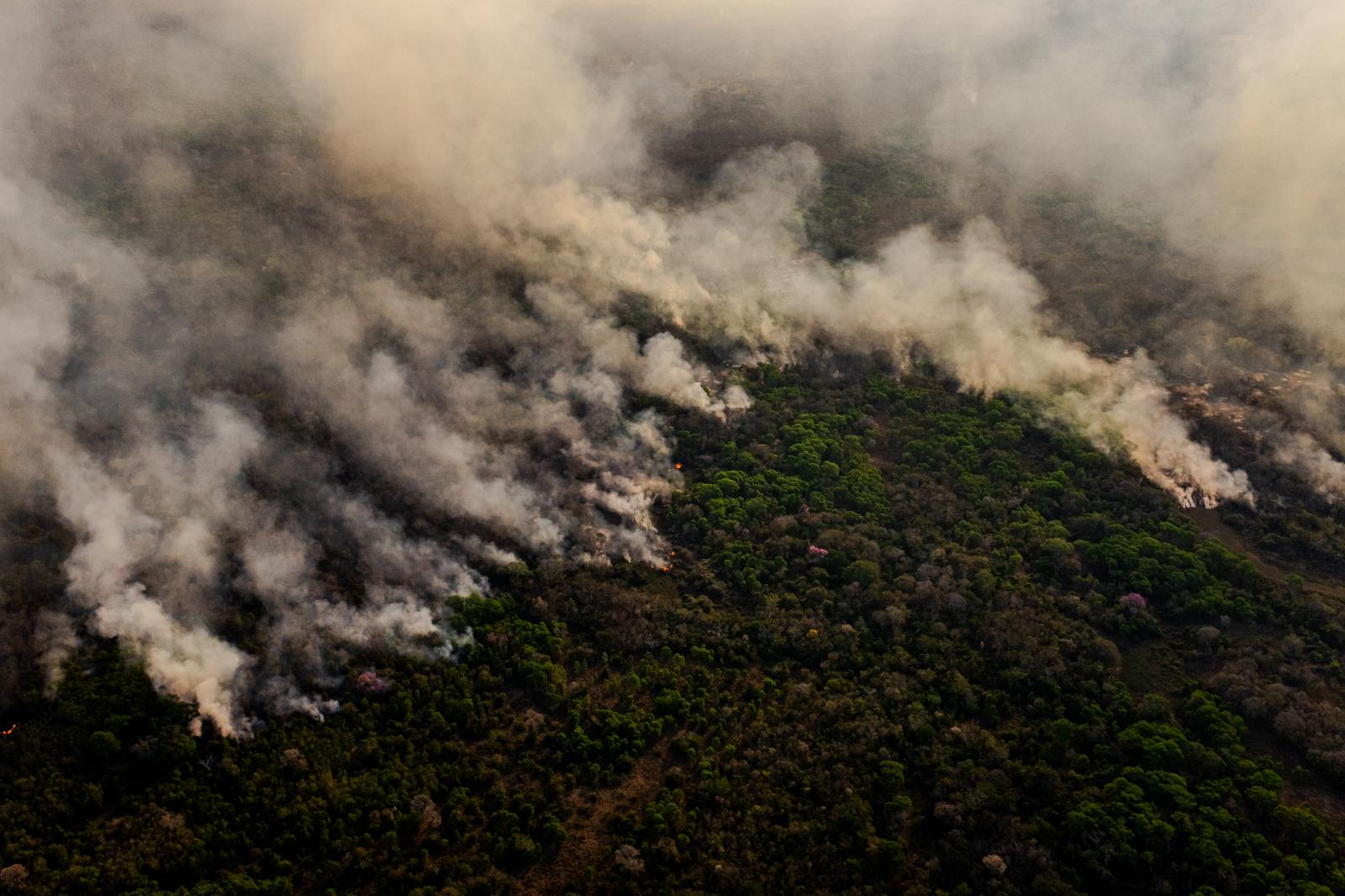 Thumbnail of Fires in the Brazilian state of _Arrellaga for The New York Times