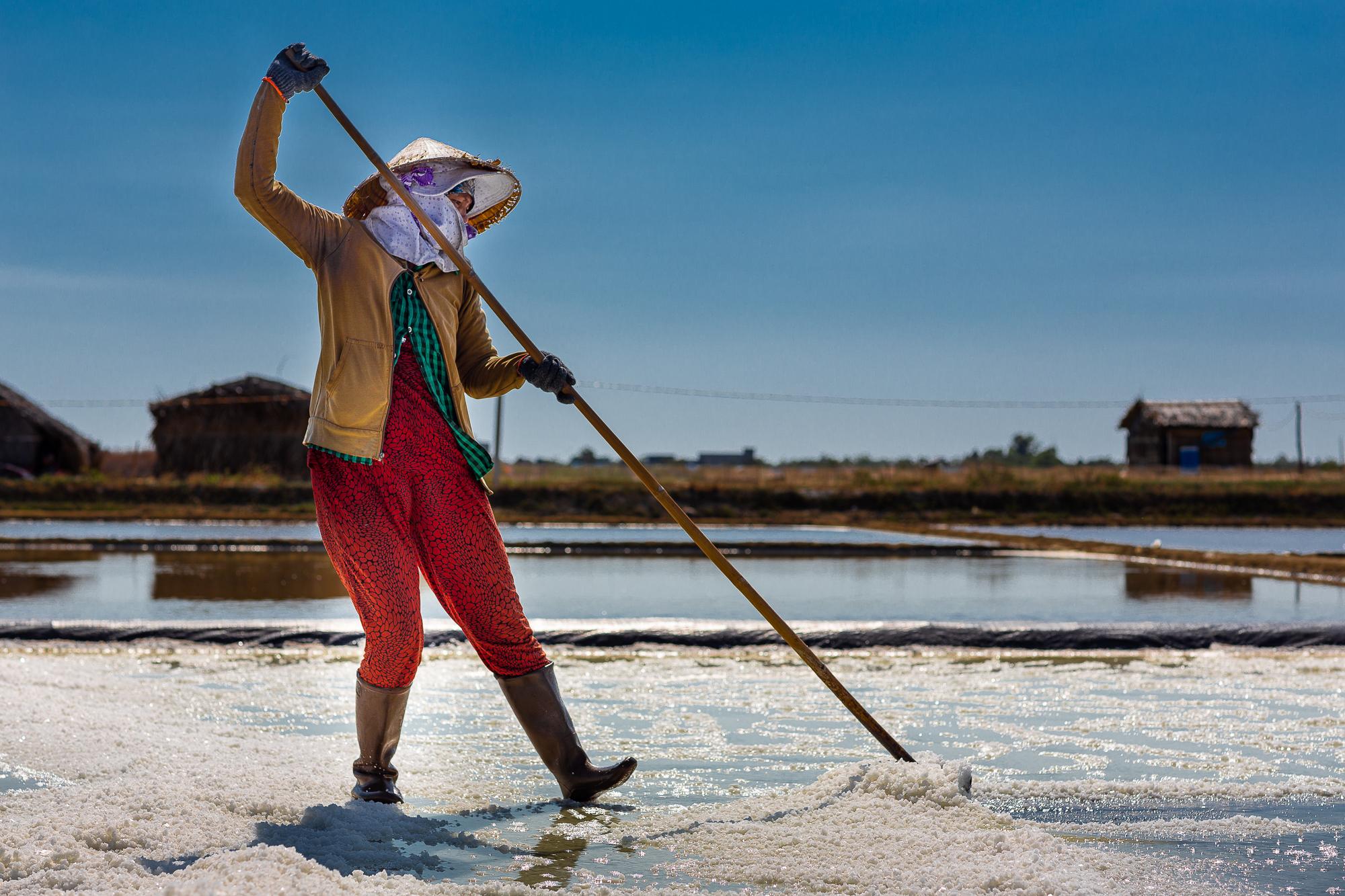Salt Harvesting - 