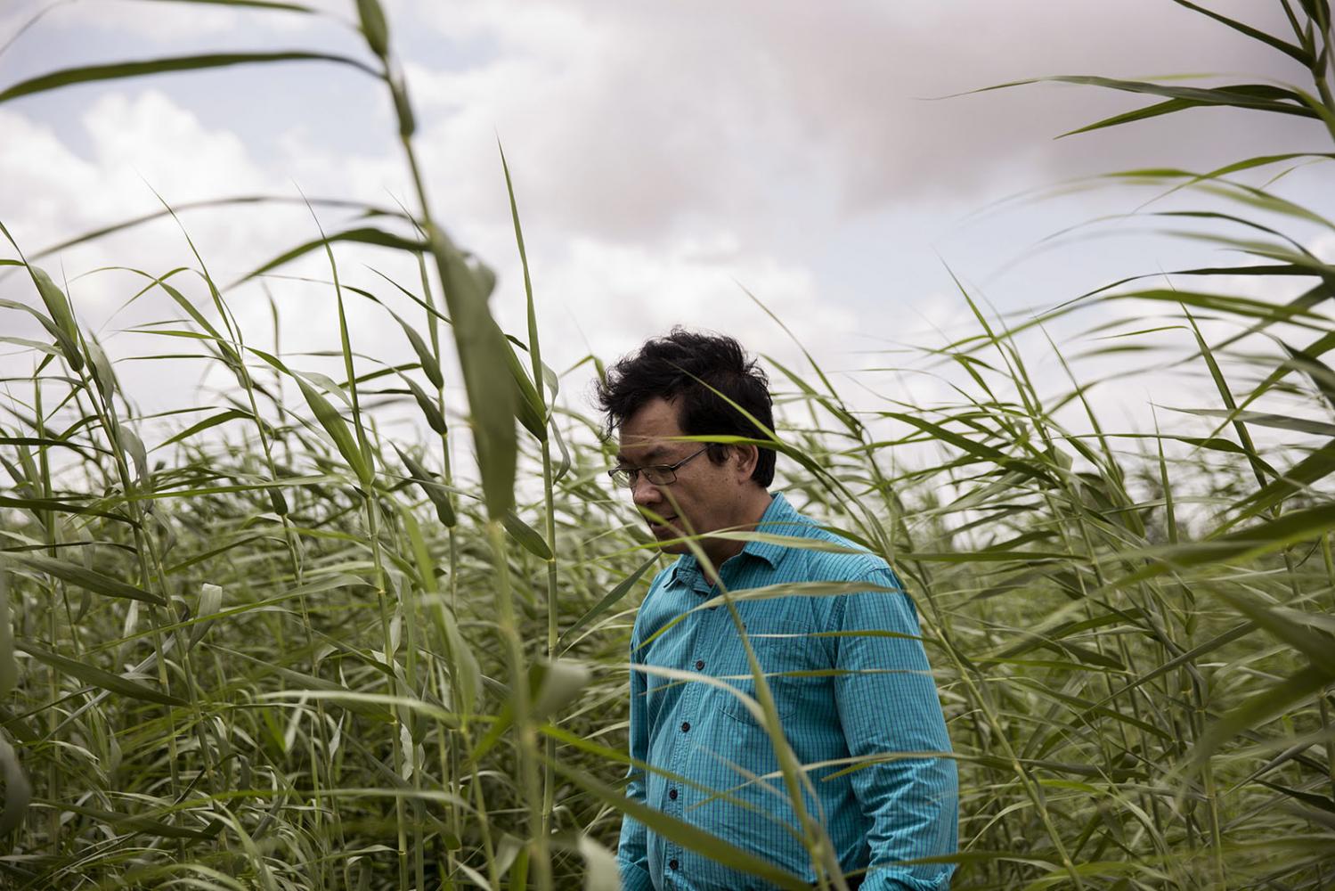 PORTRAITS - Independent Vietnamese ecologist Nguyen Huu Thien, walks...