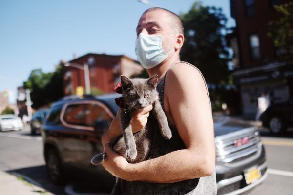 "New York is Back"? - Owner showing off new cat on a walk. June 2020, Brooklyn.