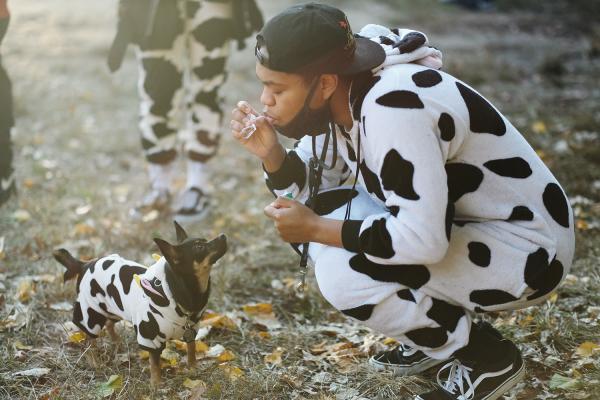 "New York is Back"? - Owner and dog dressed as cows at a local Halloween Dog Parade. October 2020, Brooklyn.