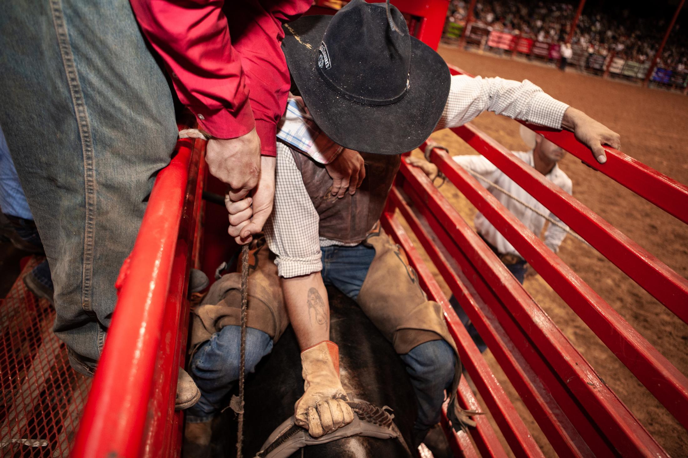 Catch as Catch Can: The American Rodeo - 