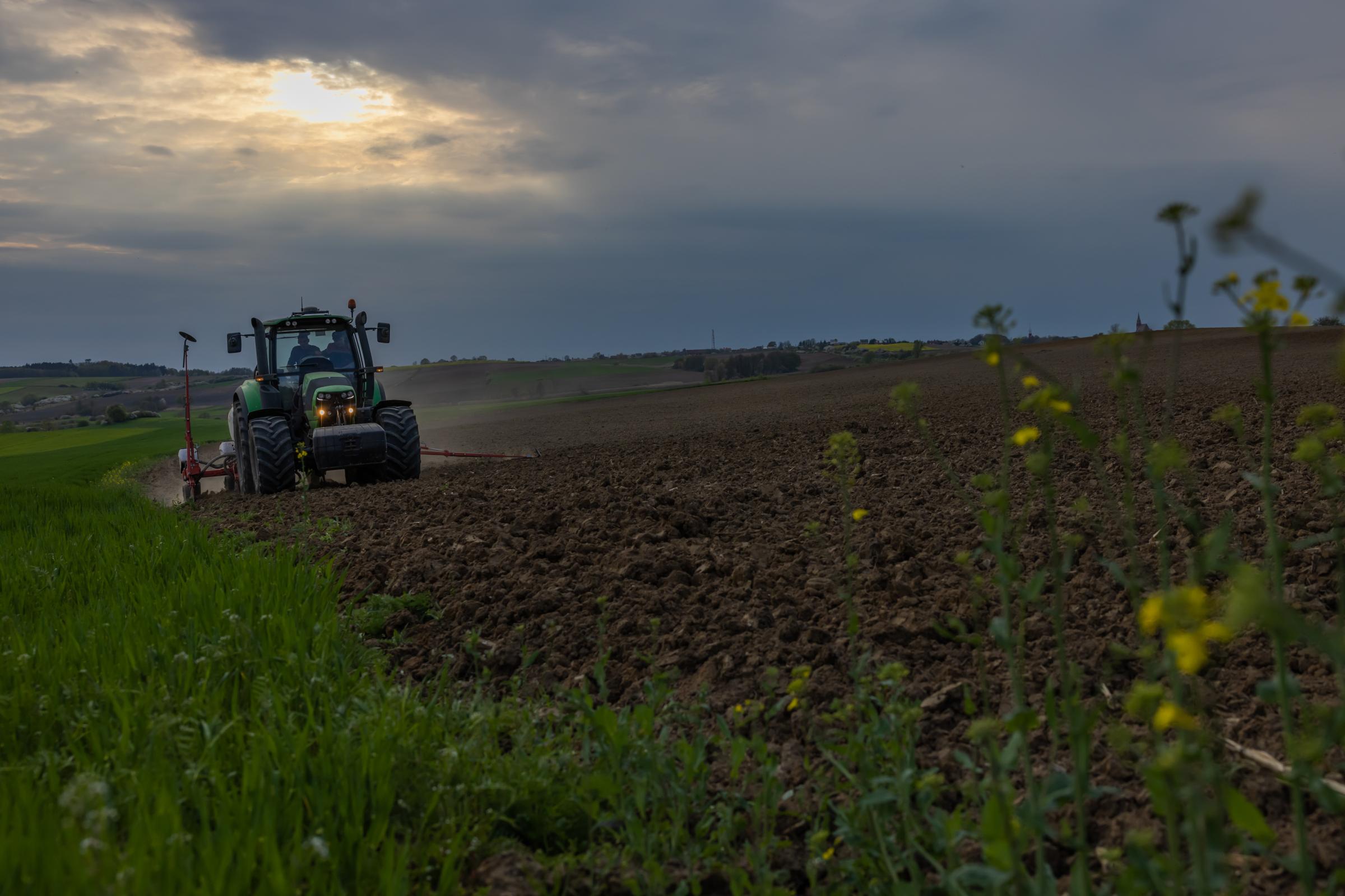 SOWING TROUBLE IN POLISH SOIL- for The Globe&Mail