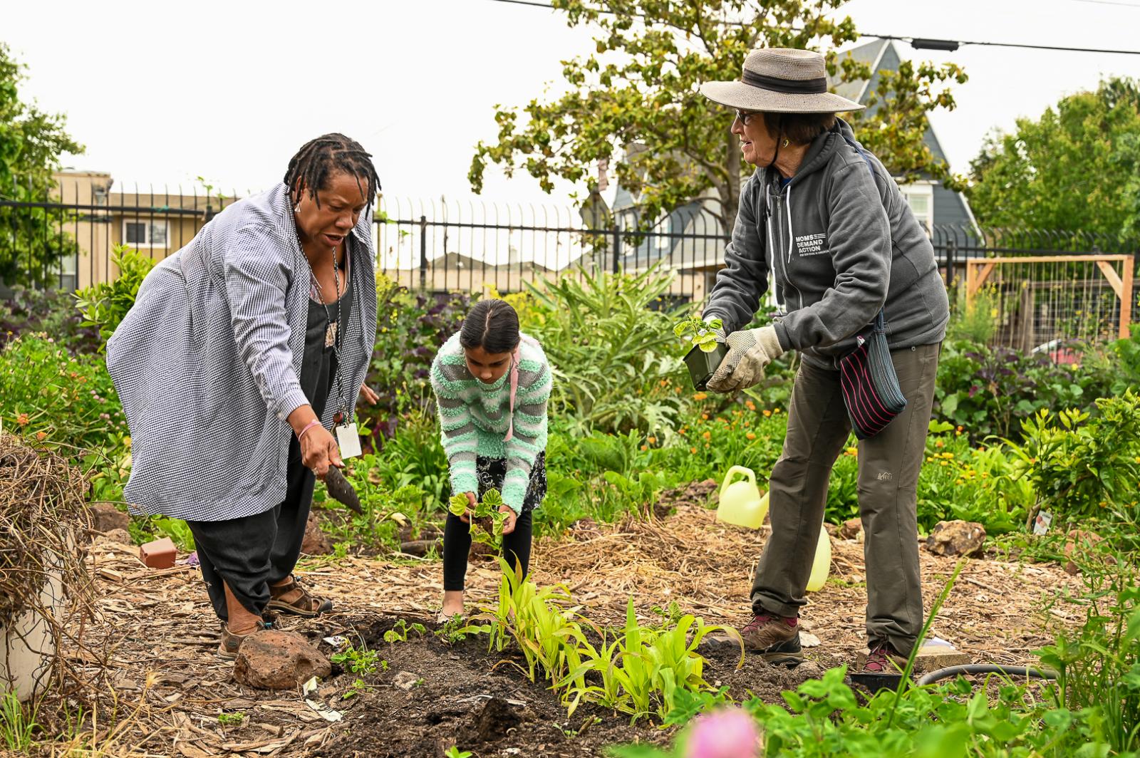 Wanda Stewart is a Trusted Leader in East Bay's Food Justice Movement. - 