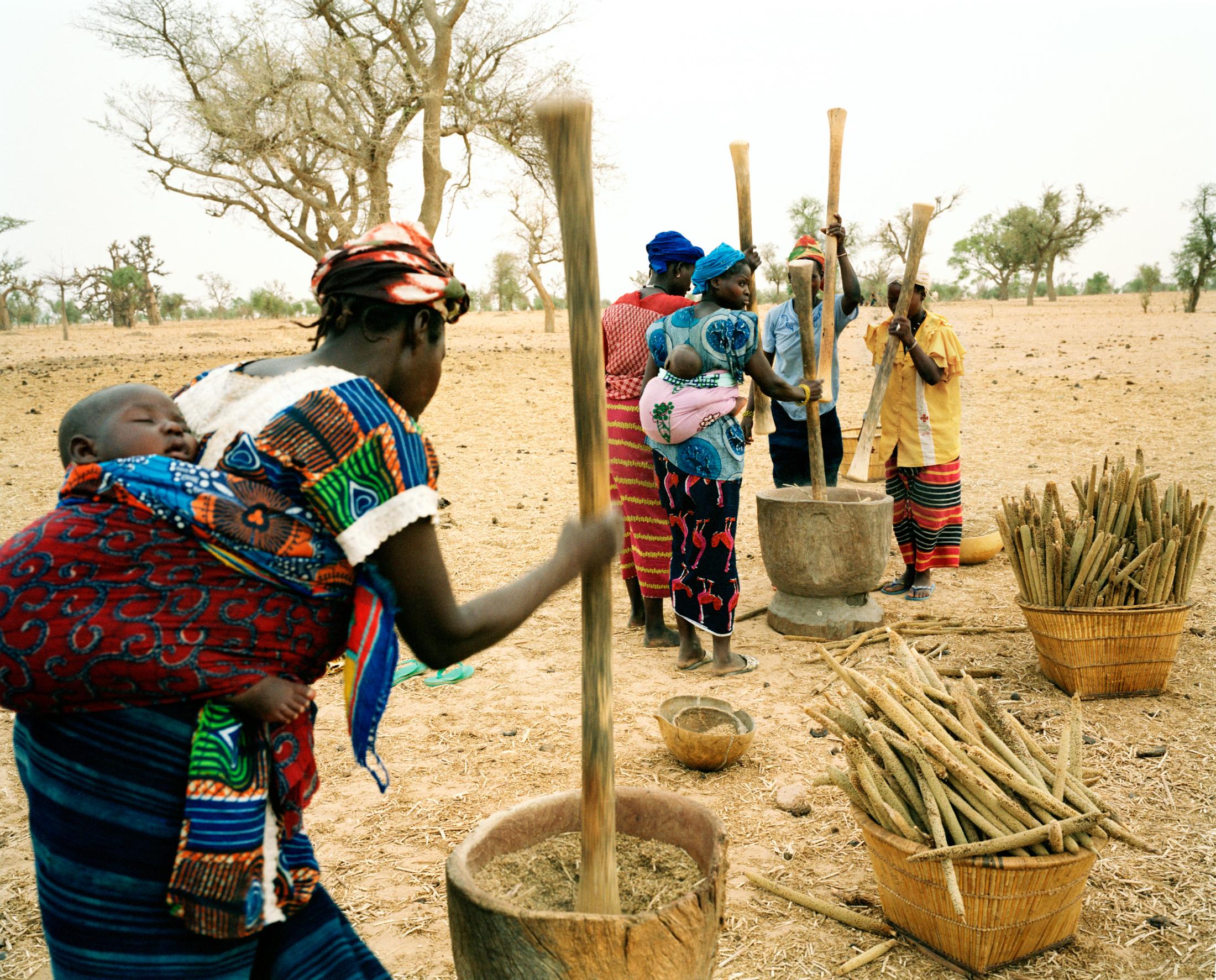Dogon women beat &quot;tige&quot; of wheat. Tinto, Mali. 2007.