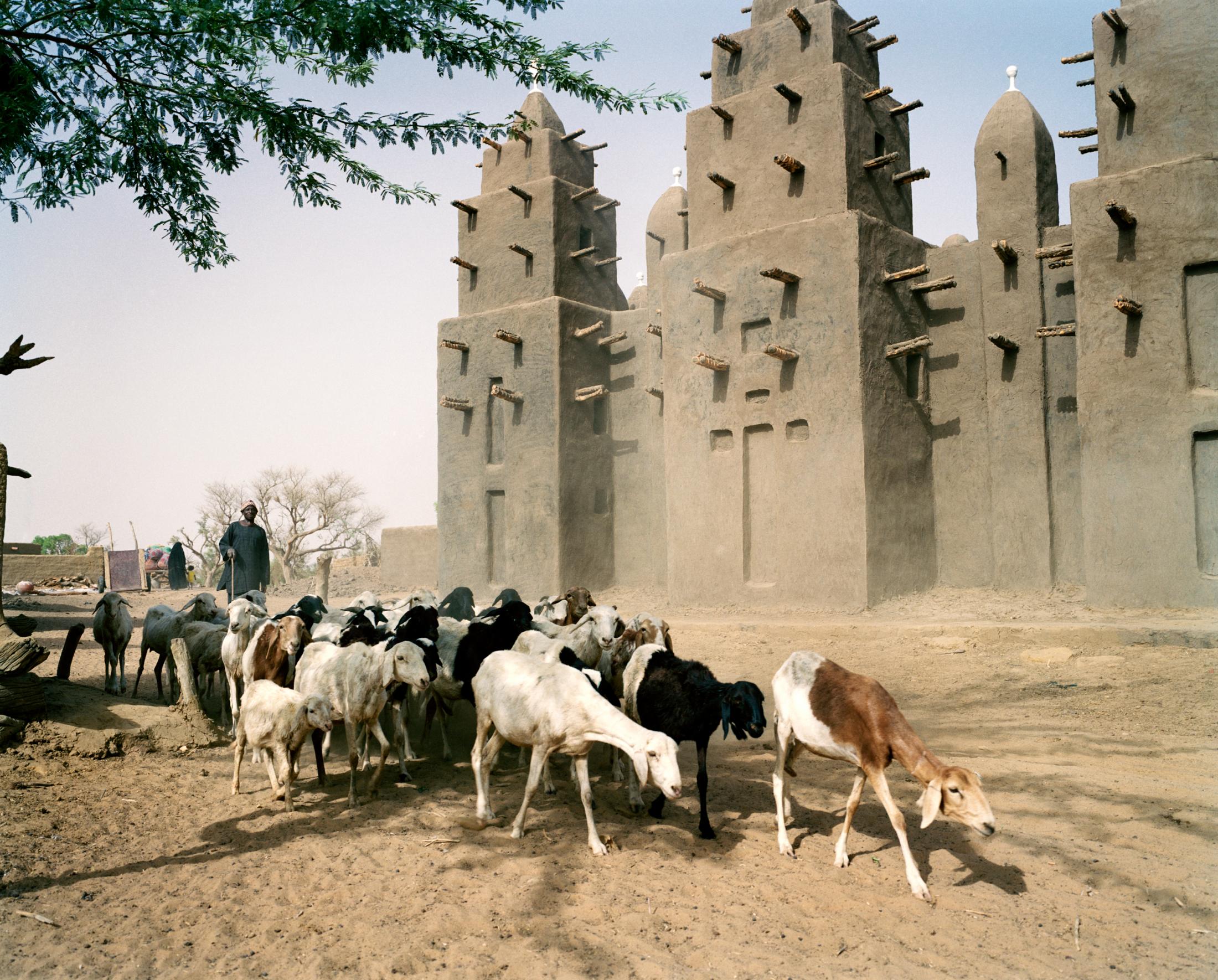 Shephers passing the village mosque. Tinto, Mali. 2007.