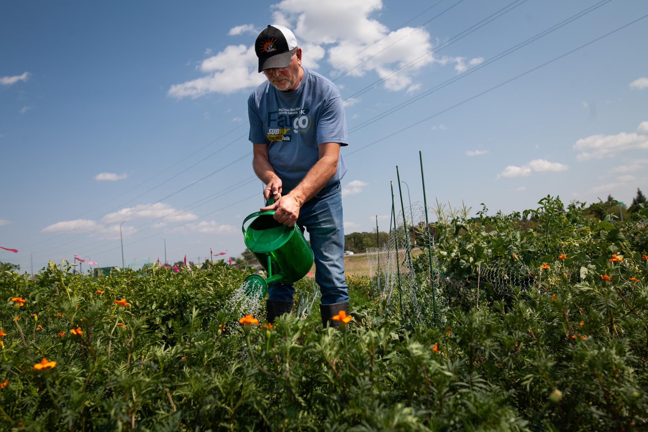 People - Ken Stupak tends to his garden plot at the...