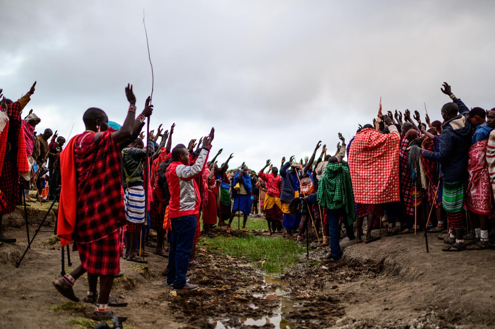 A group of Maasai elders spearh...g the process of the Enkipaata.