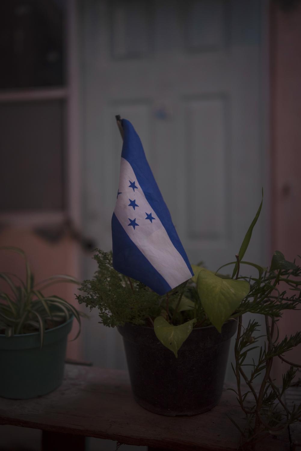 Mujeres ante la pandemia: Paola - Detalle de la bandera hondureña dentro de una...