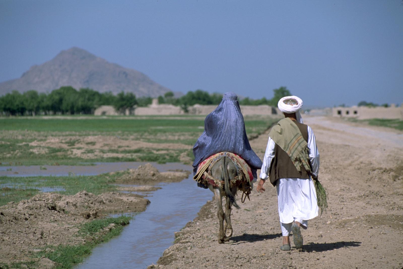 AFGHANISTAN, 4/16/02, Herat on ...iver valley. Â©Jean-Marc Giboux