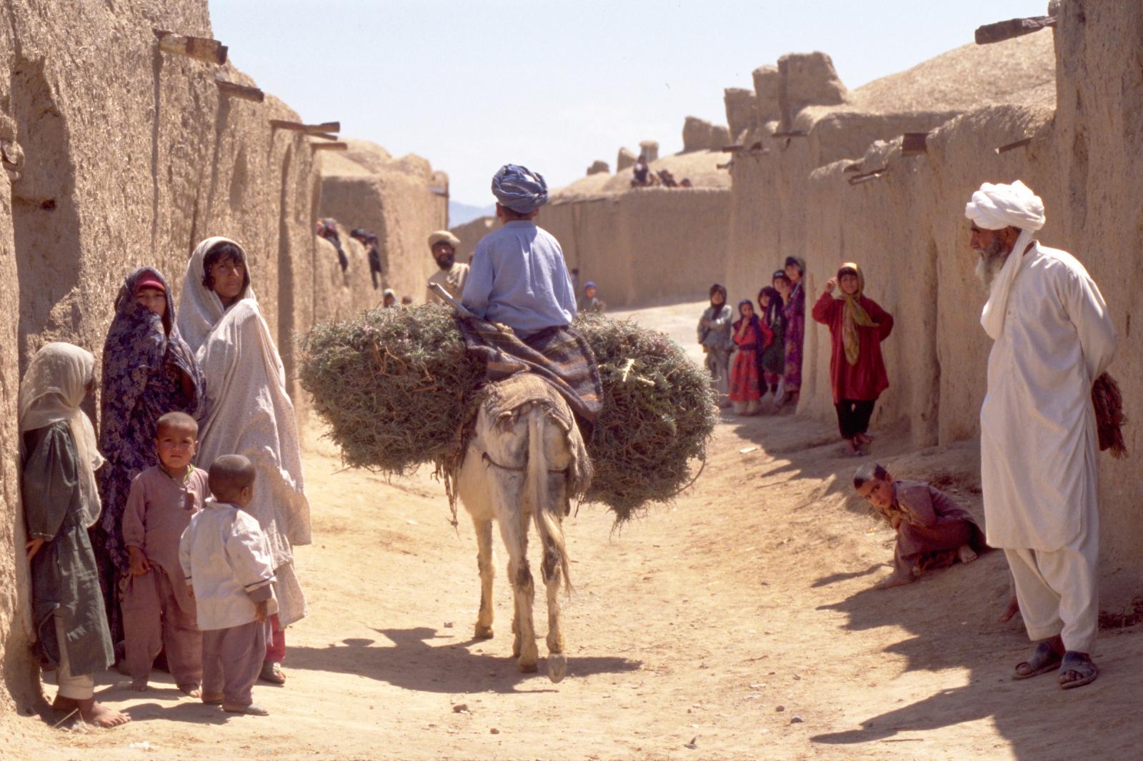 Zendeh Jan village in Herat pro...an 4/16/02 . Â©Jean-Marc Giboux